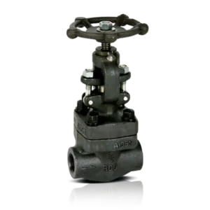 گلاب ولو کلاس 800 آیواز